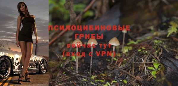 PSILOCYBIN Бугульма